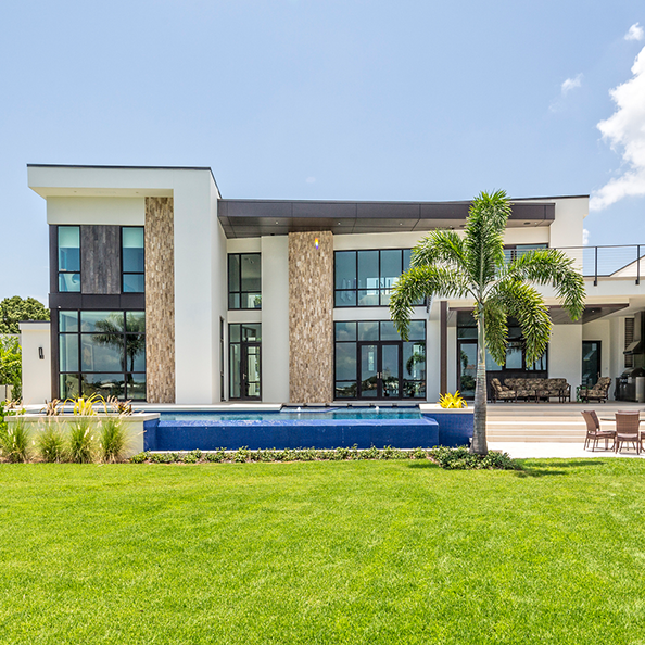 Modern house with palm tree
